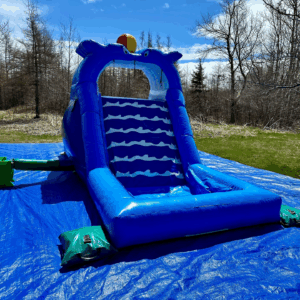Dolphin Junior Waterslide